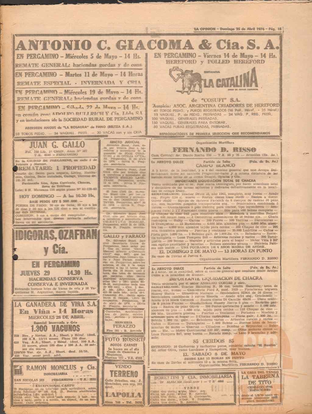 19134 (16)_ds.jpg